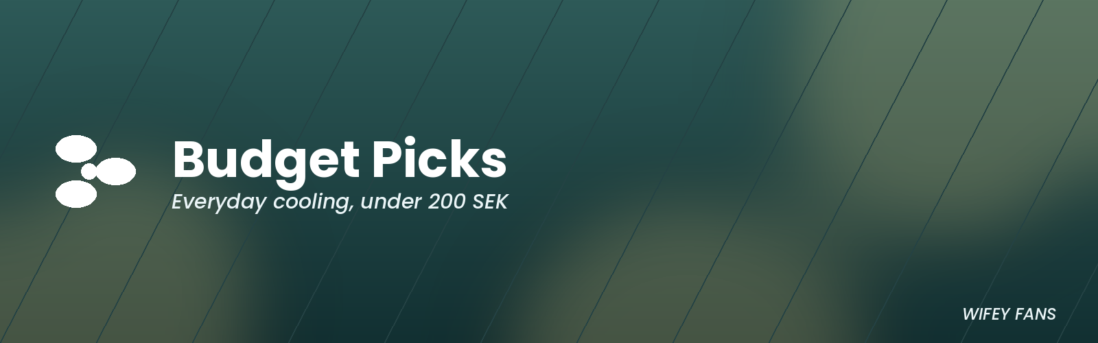 Budget Picks Under 200 SEK